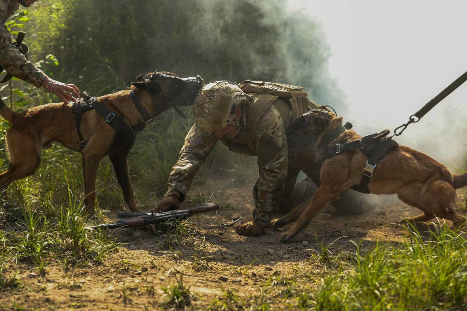 image_2026-01-27_15-46-50 (1)